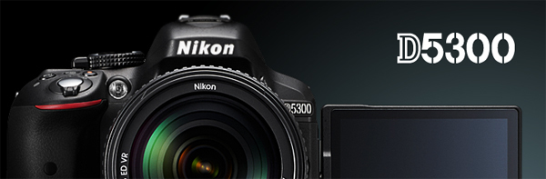 D5300.jpg